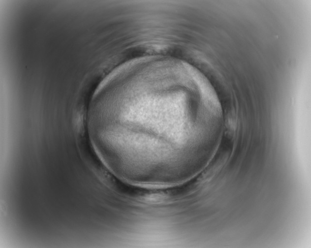 X0000088750468200706212118