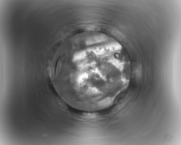 X0000088750469200706212118