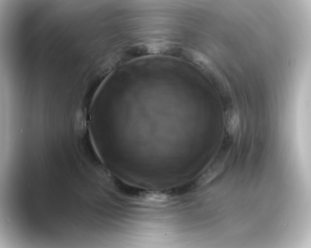 X0000088750471200706212118