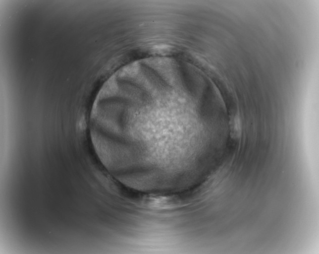 X0000088750472200706212118