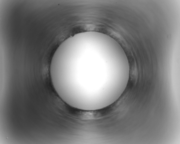 X0000088750473200706212118