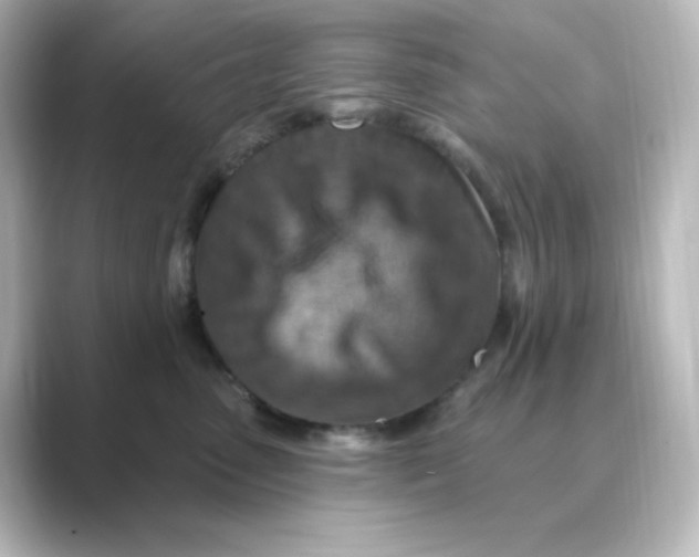 X0000088750475200706212118