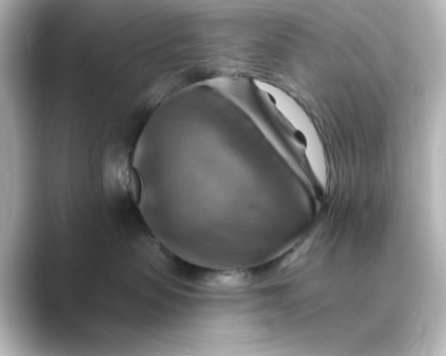 X0000088750479200706212118