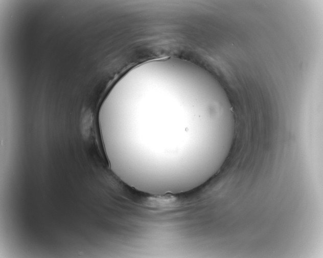 X0000088750480200706212118