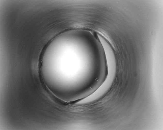 X0000088750485200706212117