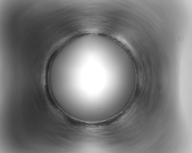 X0000088750486200706212117