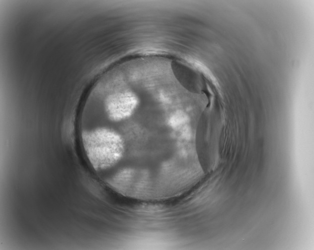 X0000088750487200706212117