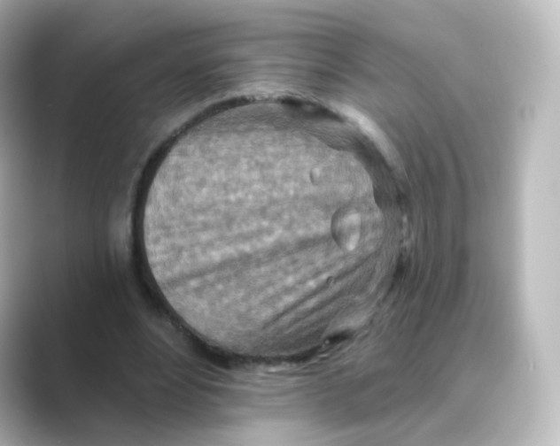 X0000088750488200706212117