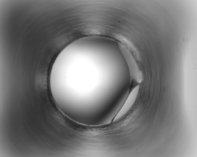 X0000088750489200706212117