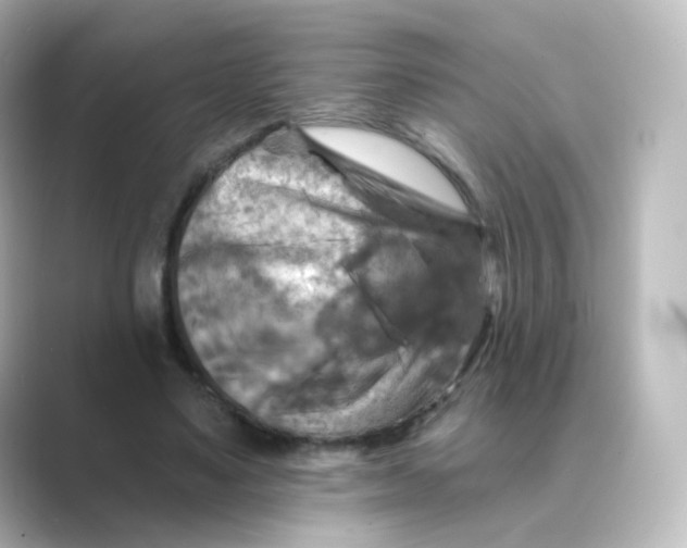 X0000088750491200706212117