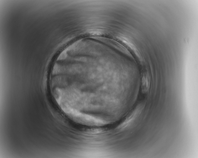 X0000088750492200706212117