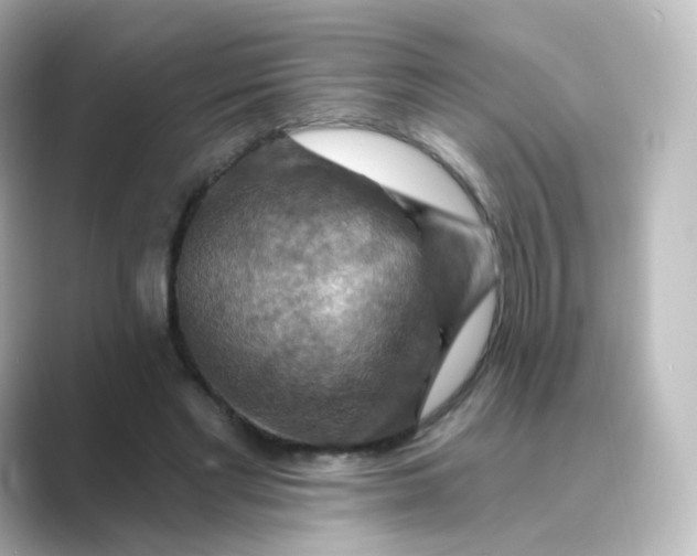 X0000088750493200706212117