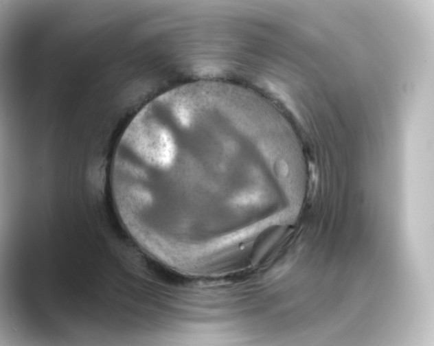 X0000088750495200706212117