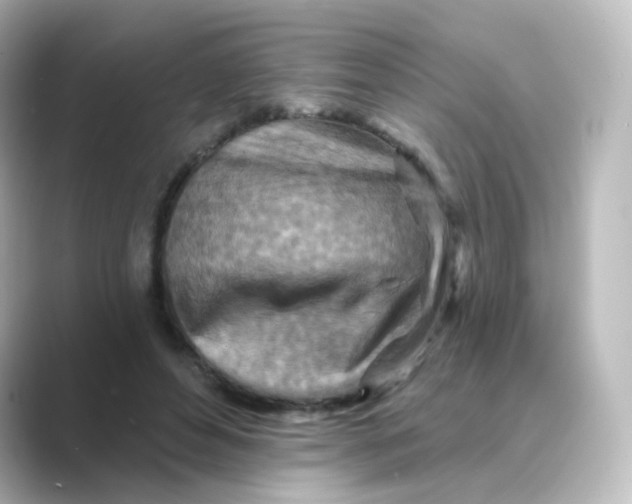 X0000088750496200706212117