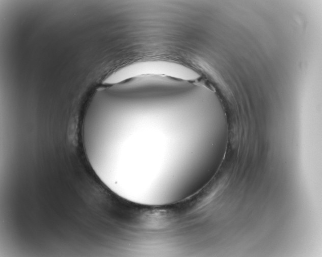 X0000088750497200706212117