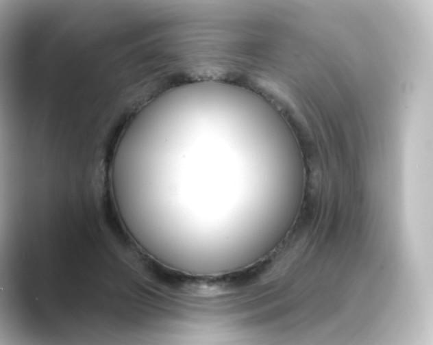 X0000088750498200706212117