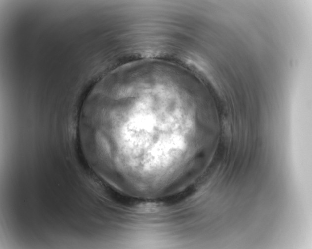 X0000088750499200706212117