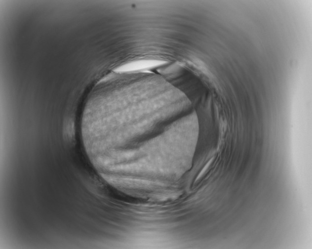 X0000088750500200706212117