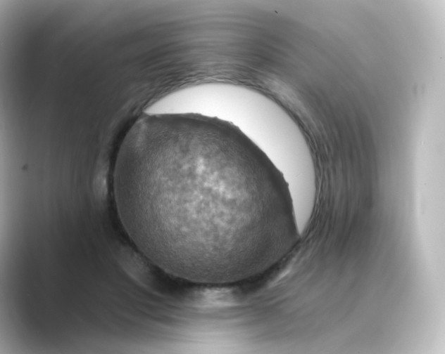 X0000088750501200706212117