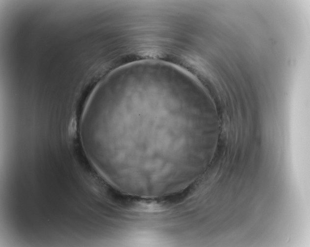 X0000088750502200706212117