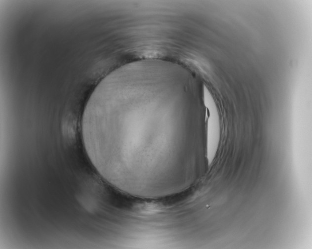 X0000088750503200706212117