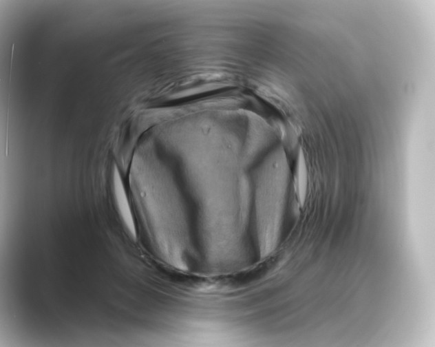 X0000088750504200706212117