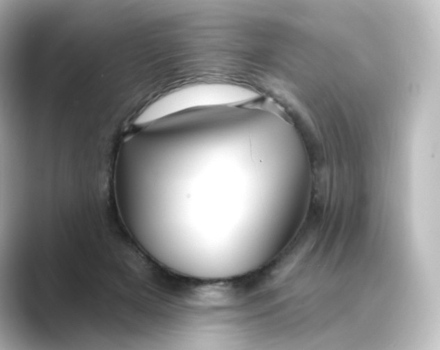 X0000088750505200706212117