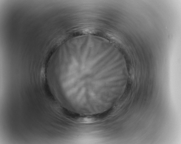 X0000088750506200706212117