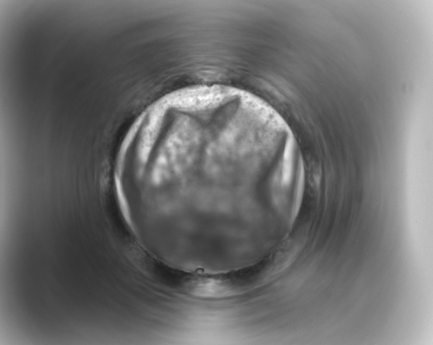 X0000088750507200706212117