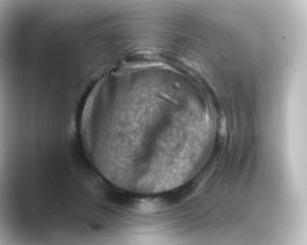 X0000088750508200706212117