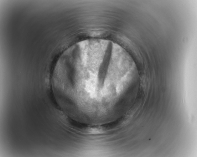 X0000088750510200706212117