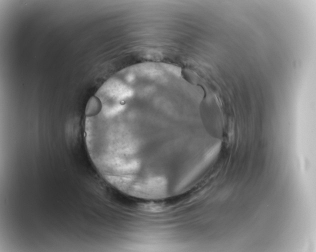 X0000088750511200706212117