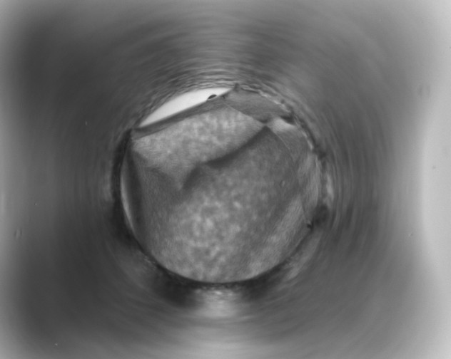 X0000088750512200706212117