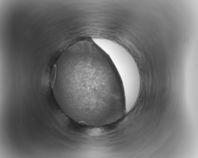 X0000088750513200706212117