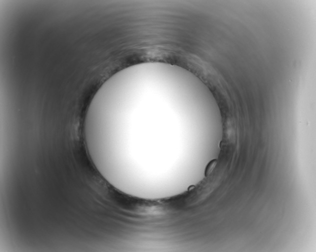 X0000088750514200706212117