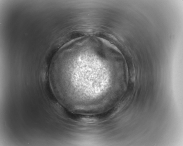 X0000088750515200706212117