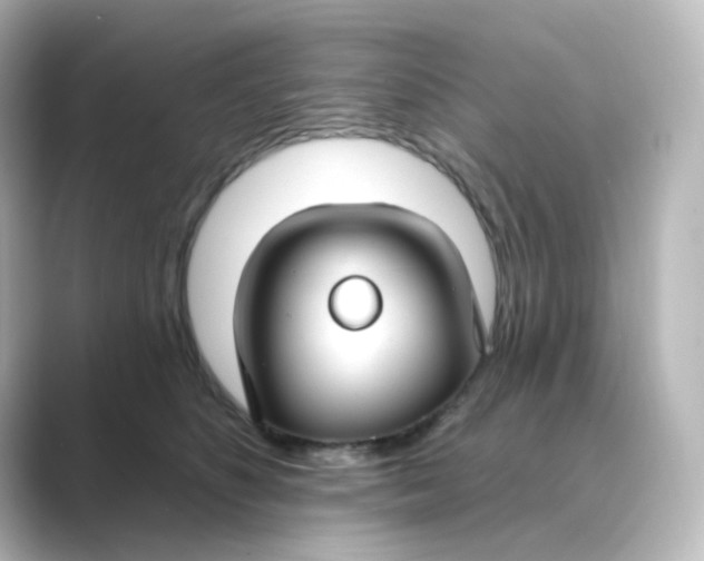 X0000088750516200706212117