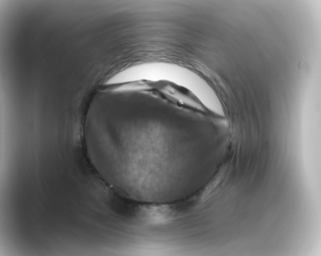 X0000088750517200706212117