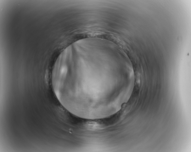 X0000088750519200706212117