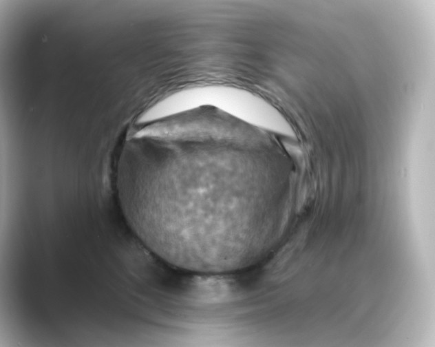 X0000088750520200706212117