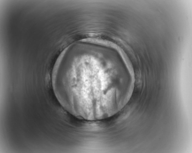 X0000088750523200706212117