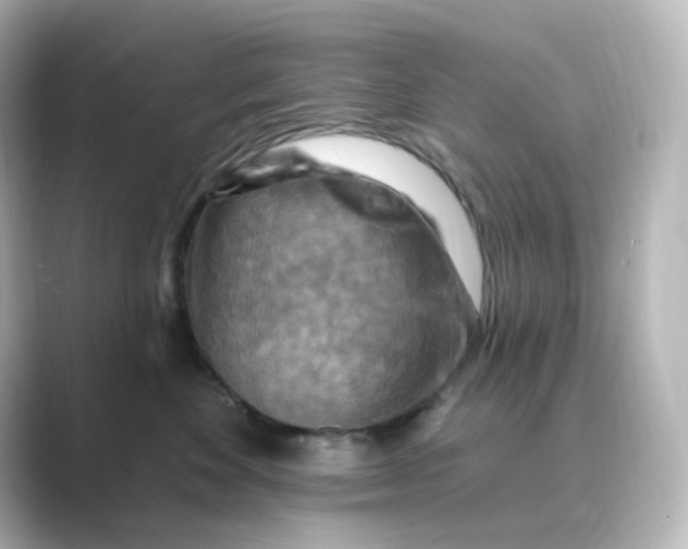 X0000088750524200706212117