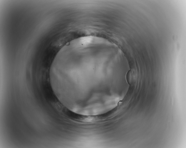 X0000088750527200706212117