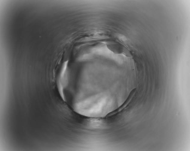 X0000088750528200706212117