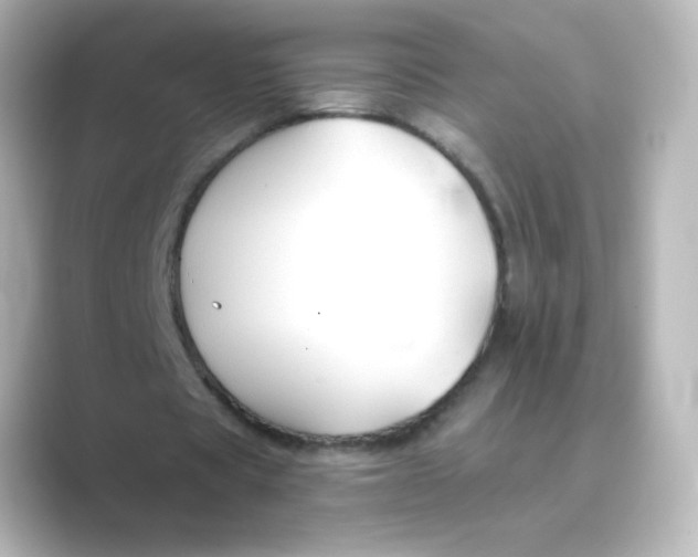 X0000088750529200706212116