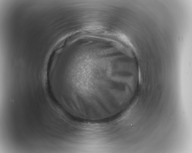 X0000088750531200706212116