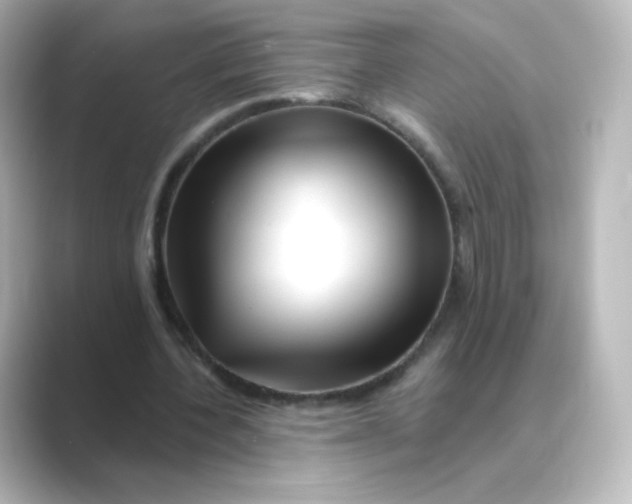 X0000088750532200706212116