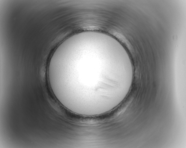 X0000088750533200706212116