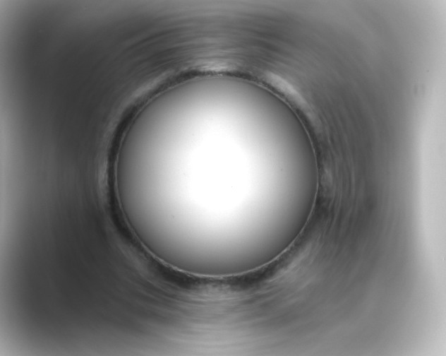 X0000088750535200706212116