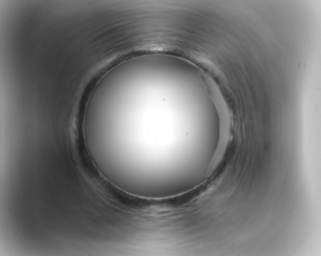 X0000088750536200706212116